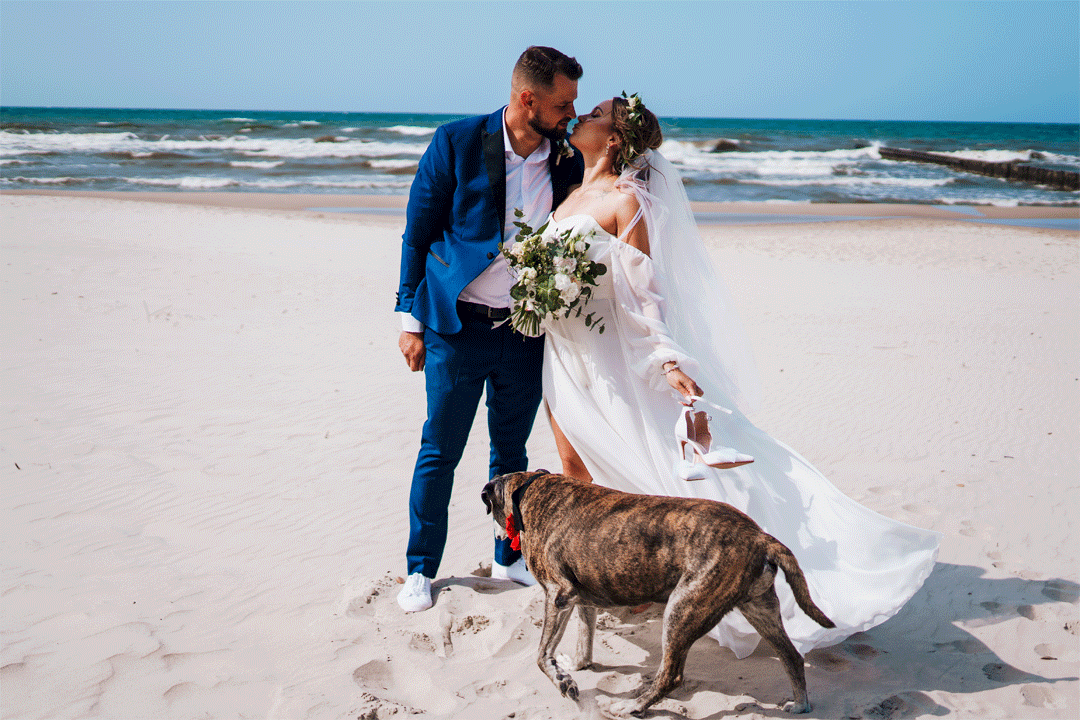 GIF ślub na plaży, para młoda